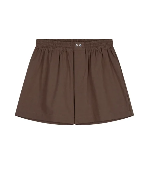 Boxer in Cedar